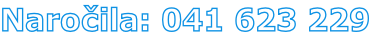 Naročila: 041 623 229